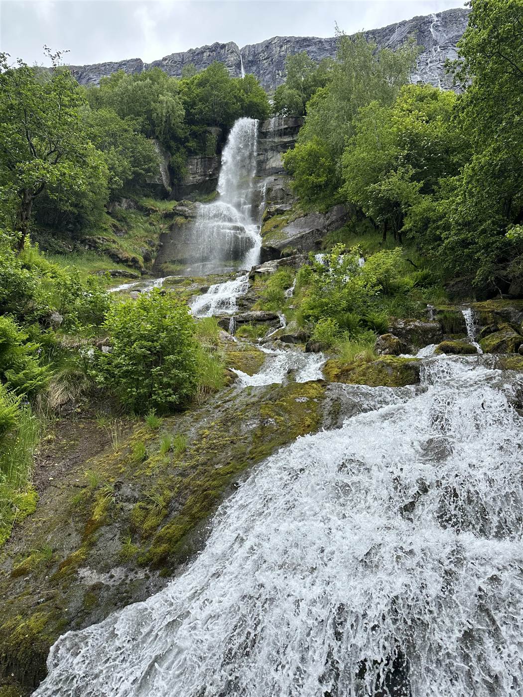 Foss og frodig natur i Sunndal